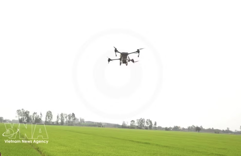 Low-altitude economy emerges as new growth driver for Vietnam